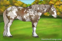 Horse Color:White Spotted Chocolate Palomino Ice Splash 