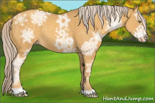 Horse Color:Gold Cream Champagne Ice 