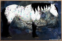 Horse Color:Liver Chestnut Chinchilla Ice 