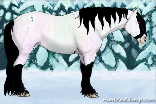 Horse Color:Gold Champagne Chinchilla Ice Mushroom Splash 