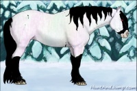 Horse Color:Gold Champagne Chinchilla Ice Mushroom Splash 