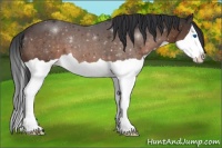 Horse Color:Brown Splash 