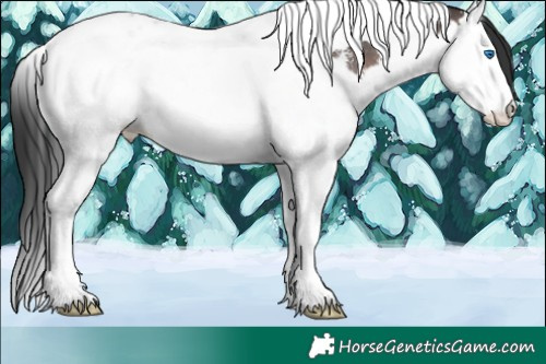 Horse Color:Brown Sabino Splash Tobiano