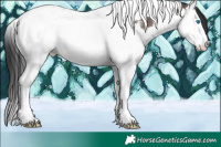 Horse Color:Brown Sabino Splash Tobiano 