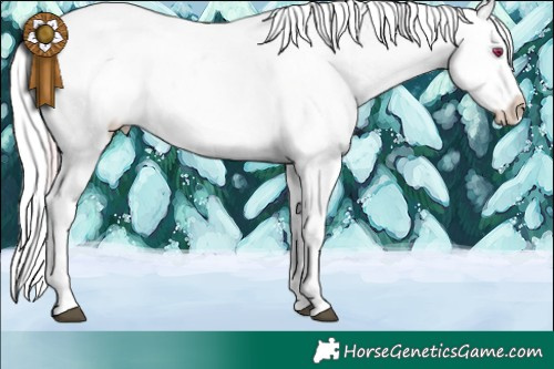 Horse Color:Plaid  White Spotted Brown Chinchilla Pearl Appaloosa 