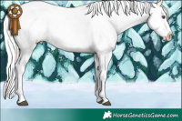 Horse Color:Plaid  White Spotted Brown Chinchilla Pearl Appaloosa 