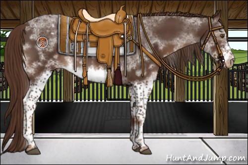 Horse Color:White Spotted Liver Chestnut Sabino Frame Varnish 