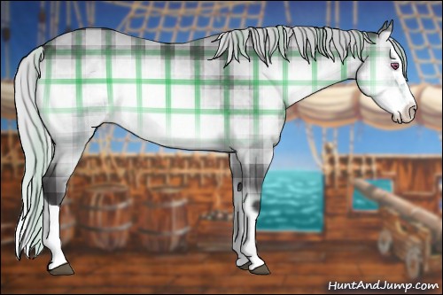 Horse Color:Plaid  Silver Buckskin Chinchilla Onyx Splash 