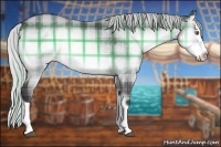 Horse Color:Plaid Silver Buckskin Chinchilla Onyx Splash