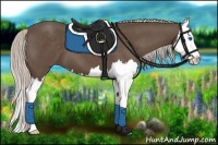 Horse Color:Silver Black Splash 