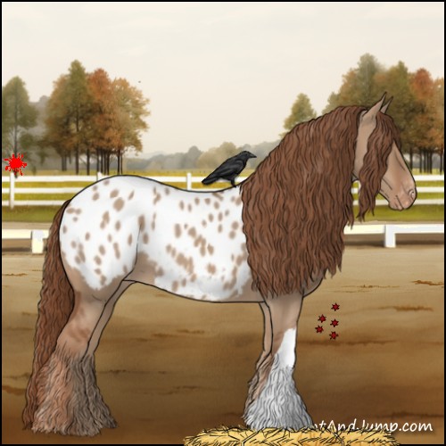 Horse Color:Red Dun Appaloosa 