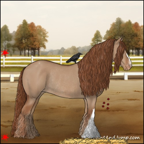 Horse Color:Red Dun Varnish Rabicano 