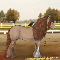 Horse Color:Red Dun Varnish Rabicano 