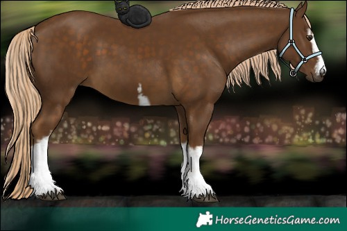 Horse Color:White Spotted Chocolate Palomino