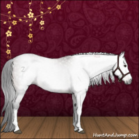 Horse Color:Gray White Spotted Buckskin Roan 