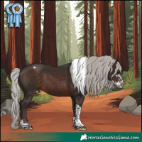 Horse Color:Silver Brown Sabino Tobiano