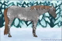 Horse Color:Liver Red Ice Roan 