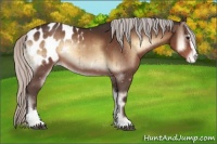 Horse Color:Silver Brown Onyx Sabino Appaloosa Brindle 