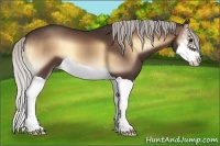 Horse Color:Silver Brown Onyx Splash