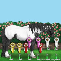 Horse Color:Black Appaloosa