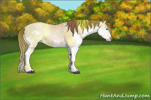 Horse Color:ERROR: UNKNOWN ANOMALY