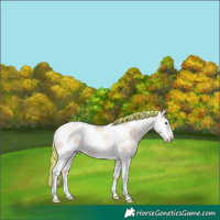 Horse Color:Painted White Spotted Silver Sable Champagne Ice Pearl Sabino 