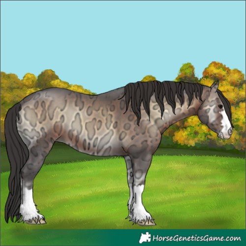 Horse Color:Brown Ice Onyx 