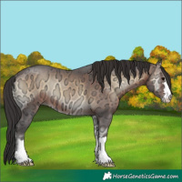 Horse Color:Brown Ice Onyx 