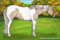 Horse Color:Silver Brown Dun Tobiano 