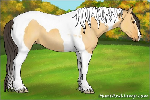 Horse Color:Buckskin Dun Tobiano 