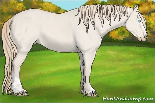 Horse Color:Smoky Creme Dun  and Smoky Creme Dun 