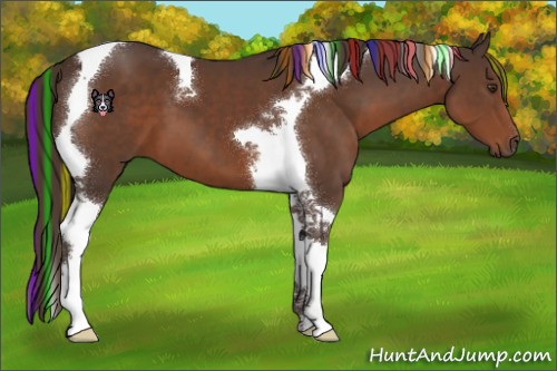 Horse Color:Painted Liver Chestnut Tobiano 
