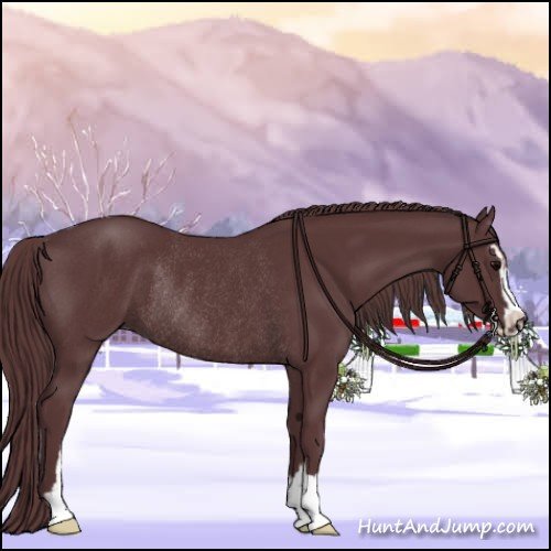 Horse Color:Chocolate Black Sabino Rabicano 