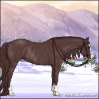 Horse Color:Chocolate Black Sabino Rabicano