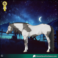 Horse Color:Platinum Grullo  and Platinum Classic Champagne Dun 
