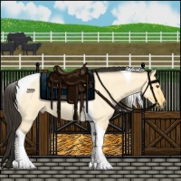 Horse Color:Buckskin Roan Dun Tobiano