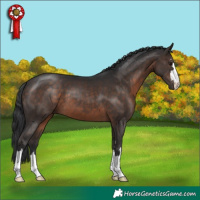 Horse Color:Brown 