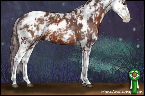 Horse Color:Chocolate Brown Sabino 