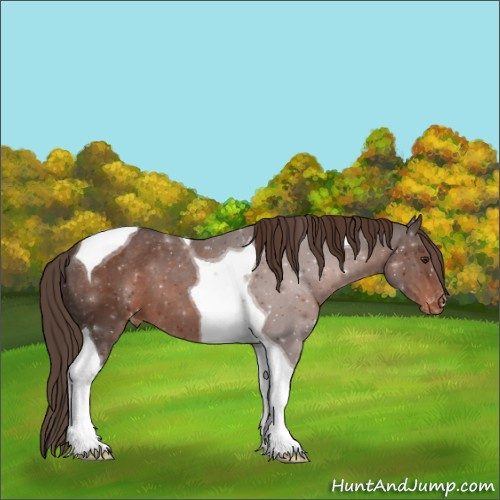 Horse Color:Liver Chestnut Tobiano Varnish 