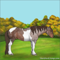 Horse Color:Liver Chestnut Tobiano Varnish 