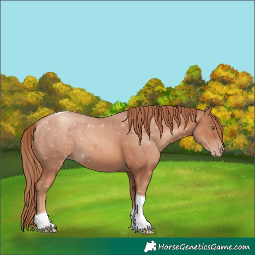 Horse Color:Gold Champagne Tobiano