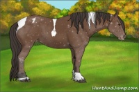 Horse Color:Bay Tobiano Varnish 