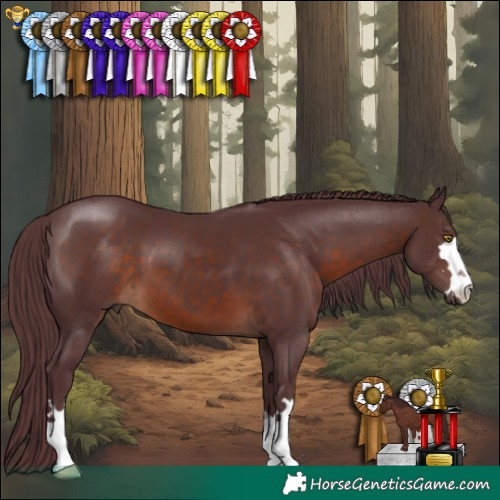 Horse Color:Chocolate Brown 