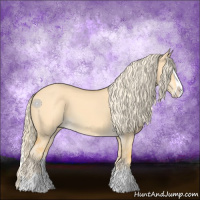 Horse Color:Palomino Dun Splash 