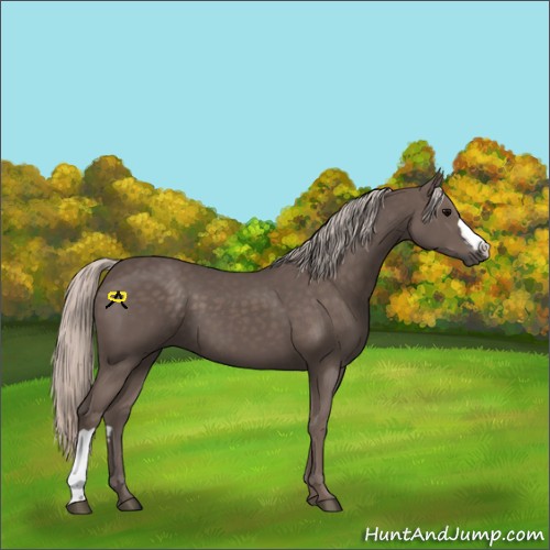 Horse Color:Silver Black 