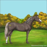 Horse Color:Silver Black 