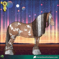 Horse Color:White Spotted Sable Champagne 