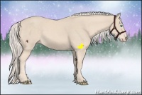 Horse Color:Cremello 
