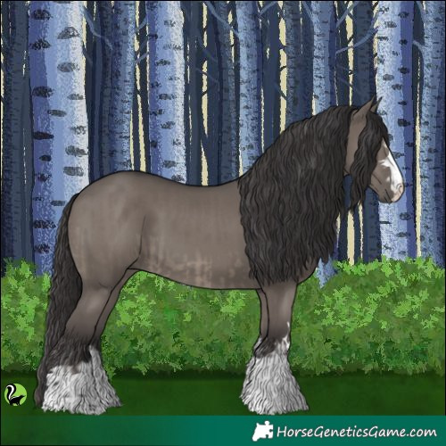 Horse Color:Smoky Grullo and Smoky Grullo
