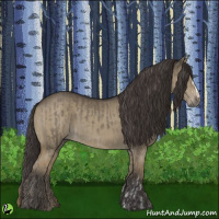 Horse Color:Smoky Grullo  and Smoky Grullo 